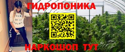 первитин Будённовск