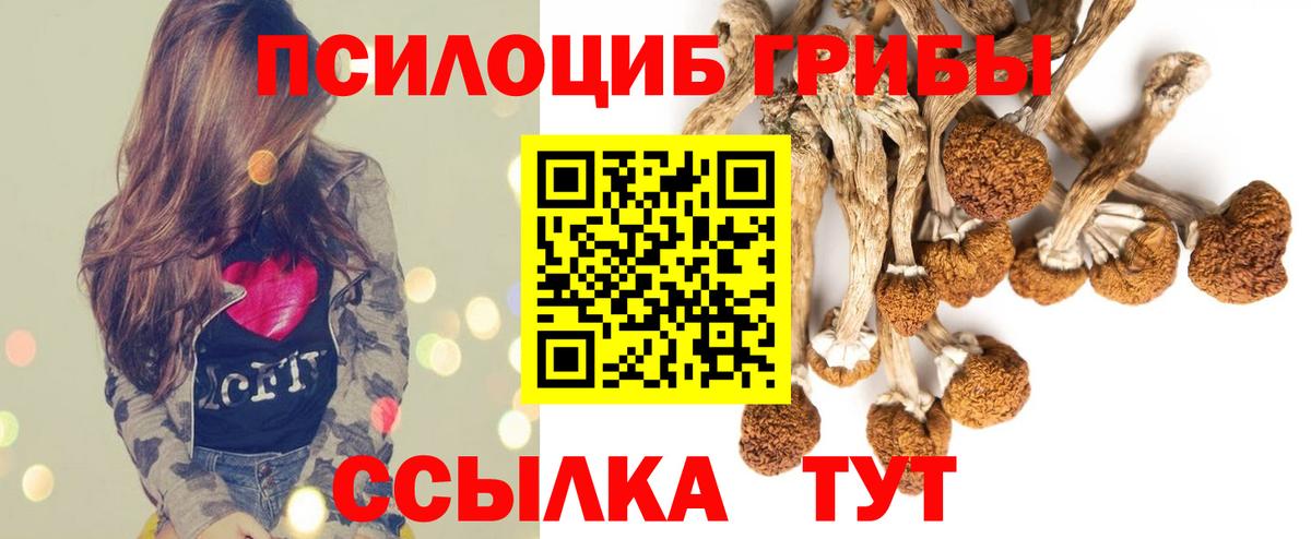 Галлюциногенные грибы Psilocybine cubensis Истра