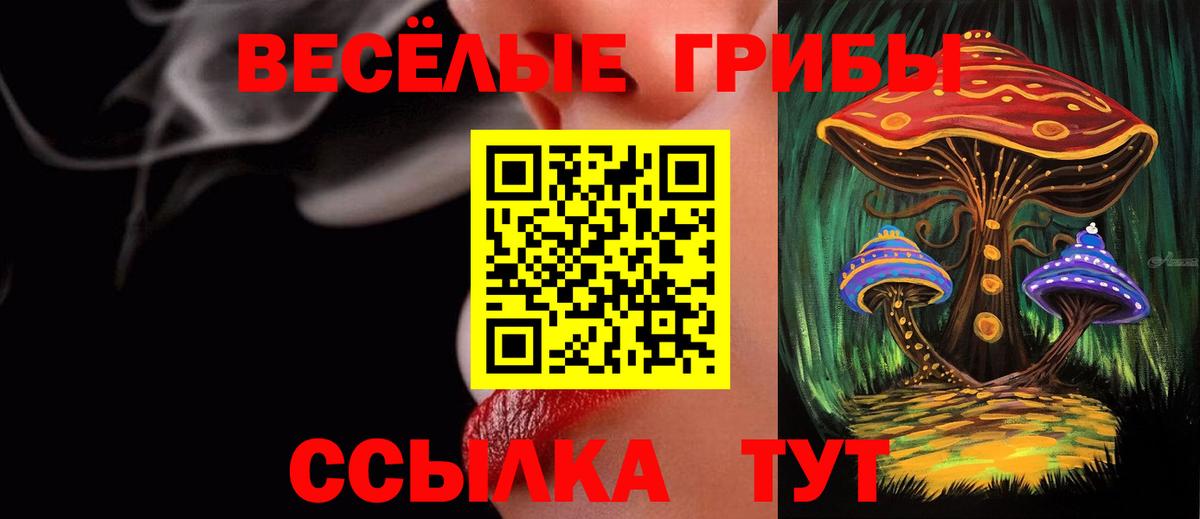 Галлюциногенные грибы мицелий  Галлюциногенные грибы Psilocybine cubensis  Вход с VPN  Истра 